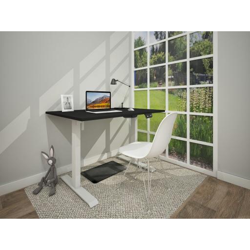 Sit and Stand Height WITH Memory adjustable Desk