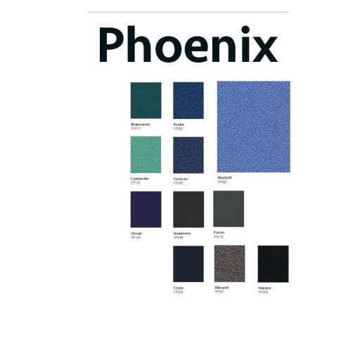 Phoenix_YP_1120_WEB for website _Page_3.jpg