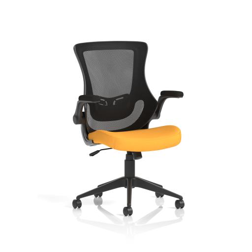 Orbit Executive Mesh Back Chair